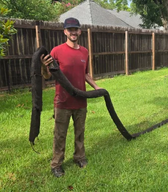 Technician holding a long mass of roots and debris pulled out of a sewer line
